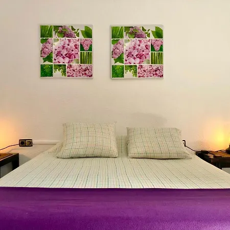 Apartment Clot Mirabarna *